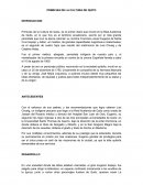 Primicias de la Cultura de Quito