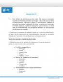 Actividad 2 Brand Equity