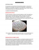 Microscopio. CLASES DE MICROSCOPIO