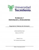 Delimitación y Antecedentes Seguridad en Sistemas de Información