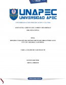 Análisis de caso selecto: Reestructuración del Departamento de Obras Públicas en City Of Carlsbad, California