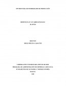 FPP FRONTERA DE POSIBILIDADES DE PRODUCCIÓN