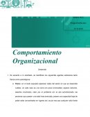 Comportamiento organizacional desarrollo