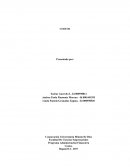 Programa Administración Financiera Costos