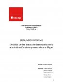 Análisis de las áreas de desempeño en la administración de empresas de una MYPE