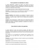 La cultura organizacional