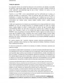 Trabajo de aplicación Tesorita´s