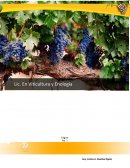 Portafolio Ética Laboral