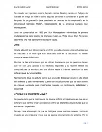 Importancia de java. Página 1