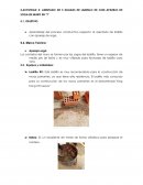 Asentado de 5 hiladas de ladrillo KK con aparejo de soga en muro en “T”