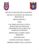 FACTORES QUE INFLUYEN EL REDUCCION DE ZONAS DE ANIDAMIENTO DE TORTUGAS MARINAS EN MÉXICO