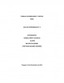 TRABAJO DE MERCADEO Y VENTAS GUIA DE APRENDIZAJE N° 2