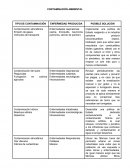 Contaminacion ambiental, enfermedades producidas