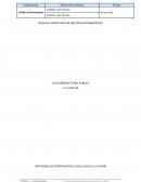 MANUAL DETECCIÓN DE DELITOS INFORMÁTICOS