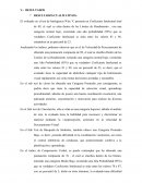 Cualitativos del caso de ejemplo de wisc