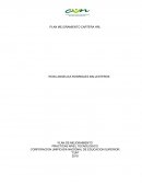 PLAN MEJORAMIENTO CARTERA HRL