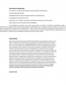 SALUD MENTAL COMUNITARIA
