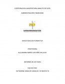 INVESTIGACION FORMATIVA