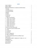 Proceso de Garantía Constitucional Habeas Corpus