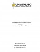 Texto agurmanetativos