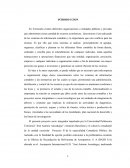 PROYECTO aviación comercial