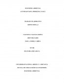 INGENIERIA AMBIENTAL empresa Lácteos la Holandesa