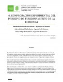 COMPROBACIÓN EXPERIMENTAL DEL PRINCIPIO DE FUNCIONAMIENTO DE LA ECOSONDA