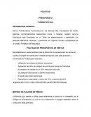POLITICAS PRESUPUESTO