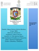 Actividad integradora Contexto de la salud colectiva