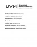 Actividad Macroeconomia. INPC