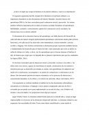 Cuál es el papel que ocupa la literatura en la primera infancia y cual es su importancia