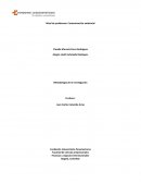 Árbol de problemas: Contaminación ambiental