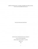 DISEÑO DE PROTECCION Y CONTROL DE BOMBAS DE DRENAJE PARA PLANTA DE TRATAMIENTO DE AGUAS