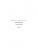 Ámbito de las Finanzas – Análisis y Control Financiero