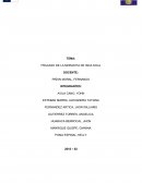 FRACASO DE LA MORADITA DE INCA KOLA