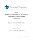 Tendencias del monopolio en México desde una perspectiva de los Derechos Fundamentales