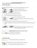 EJERCICIOS DE FORTALECIMIENTO