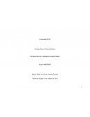 El desarrollo de la inteligencia según Piaget