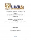 “Fundamentos de la Teoría de Enfermería”