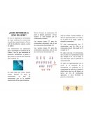 ¿Quien determina el sexo del bebe?