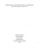 Enfoque proyectual del diseño industrial y los videojuegos