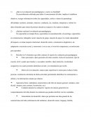 ¿Qué es la evaluación psicopedagógica y cuál es su finalidad?