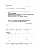 Estructura simple. Burocracia maquinal