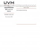 Derecho laboral . Mujeres en caso de maternidad