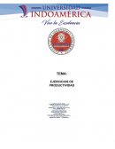 Problemas de práctica: Capítulo 1, Operaciones y Productividad