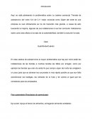 La cadena comercial ‘Tiendas de autoservicio del norte S.A de C.V