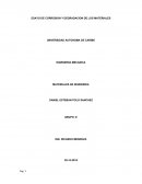 ESAYO DE CORROSION Y DEGRADACION DE LOS MATERIALES