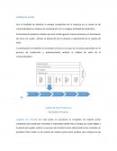 Cadena de Valor Productora. Actividades Primarias