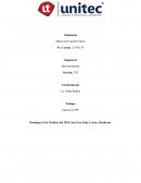 Frontera de posibilidades de producción, Ventaja absoluta y comparativa