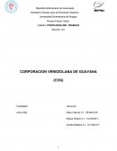 Cuadro descriptivo del examen mental